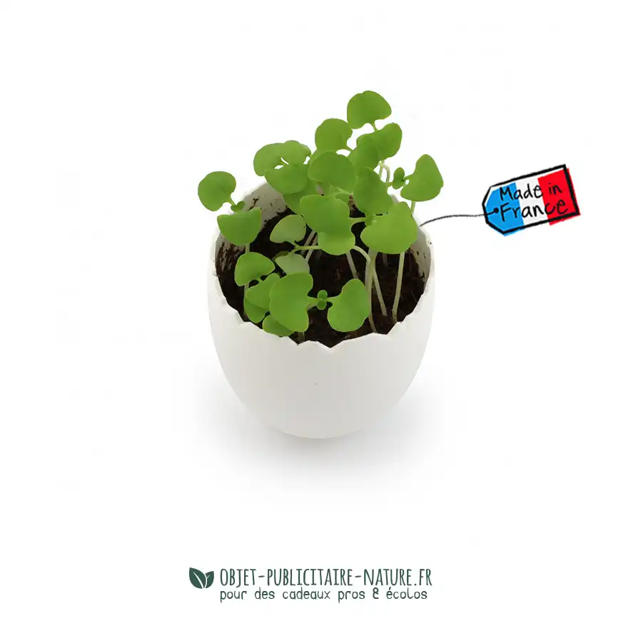 Kit de plantation boîte 4 oeufs biodégradable et compostable à personnaliser