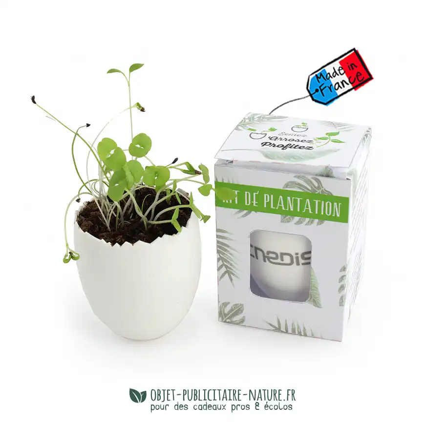 Kit de plantation publicitaire personnalisable oeuf individuel