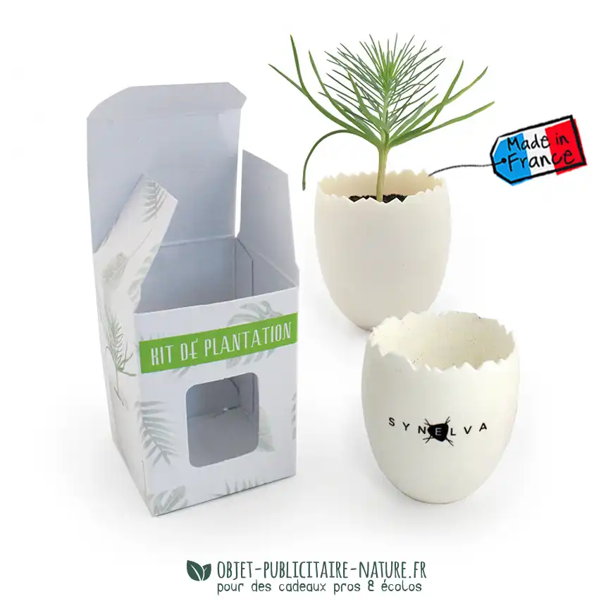 Kit de plantation publicitaire personnalisable oeuf individuel