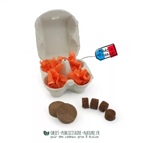 Kit de plantation 4 palets graines dans boite oeufs