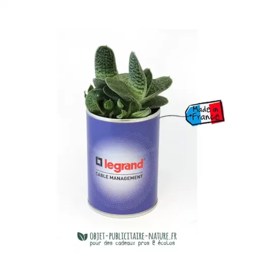 Cactus ou plante au choix en canette publicitaire personnalisée