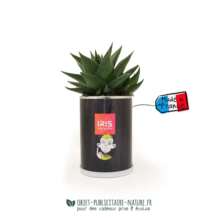 Cactus ou plante au choix en canette publicitaire personnalisée