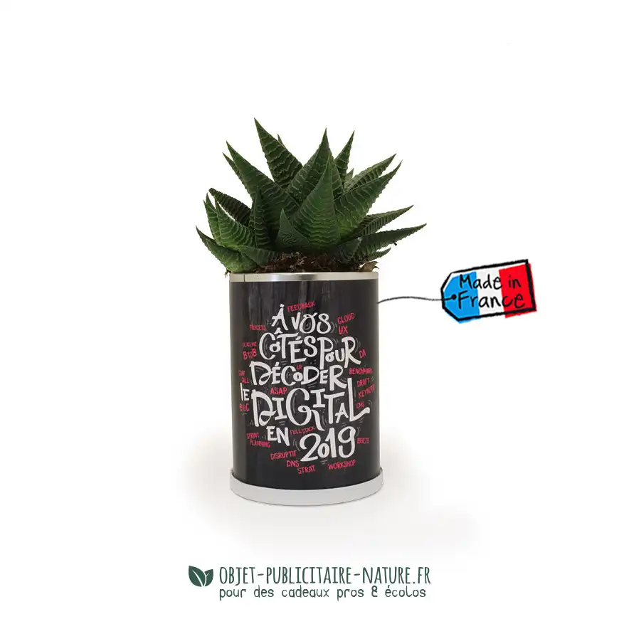 Cactus ou plante au choix en canette publicitaire à personnaliser