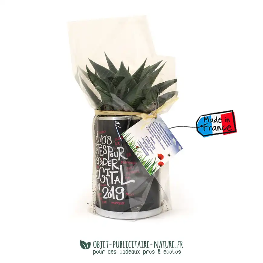 Cactus ou plante au choix en canette publicitaire à personnaliser