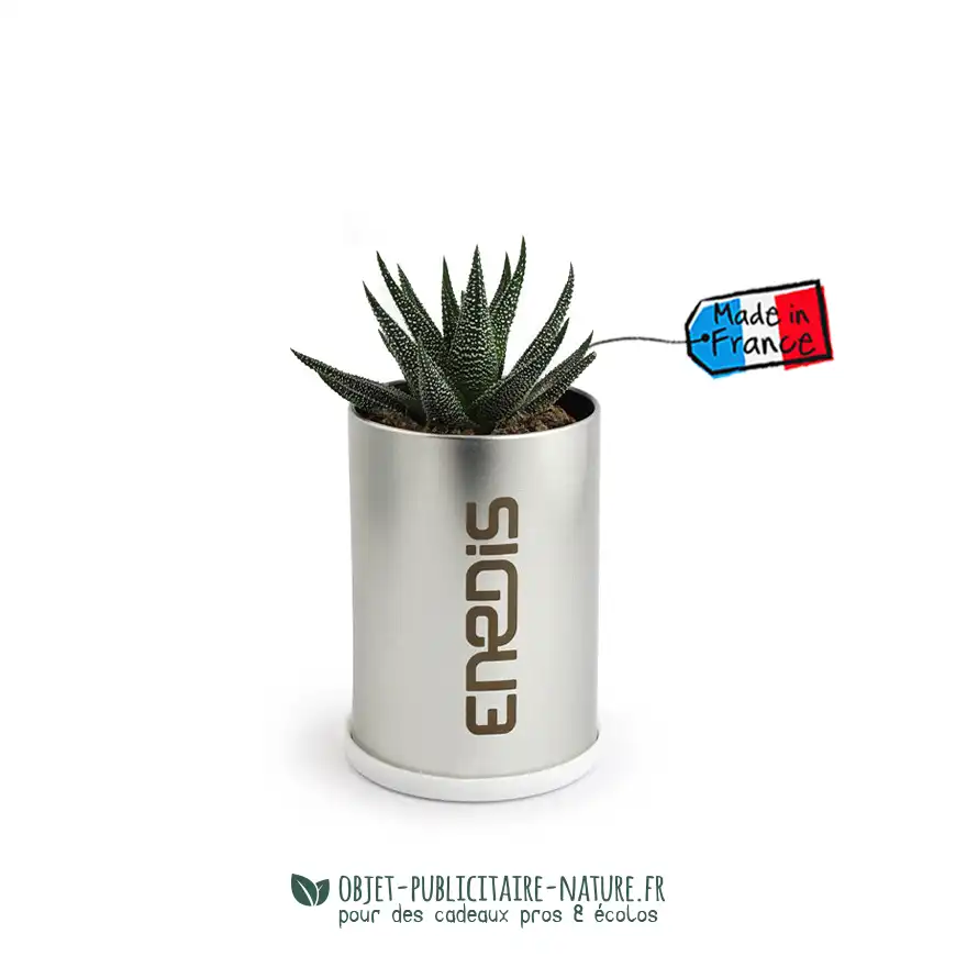 Cactus ou plante au choix en canette publicitaire personnalisable
