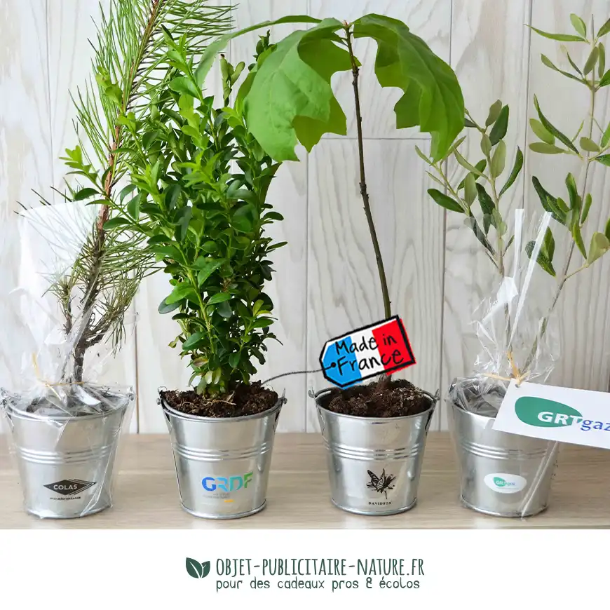 Plant d'arbre publicitaire en pot zinc personnalisable