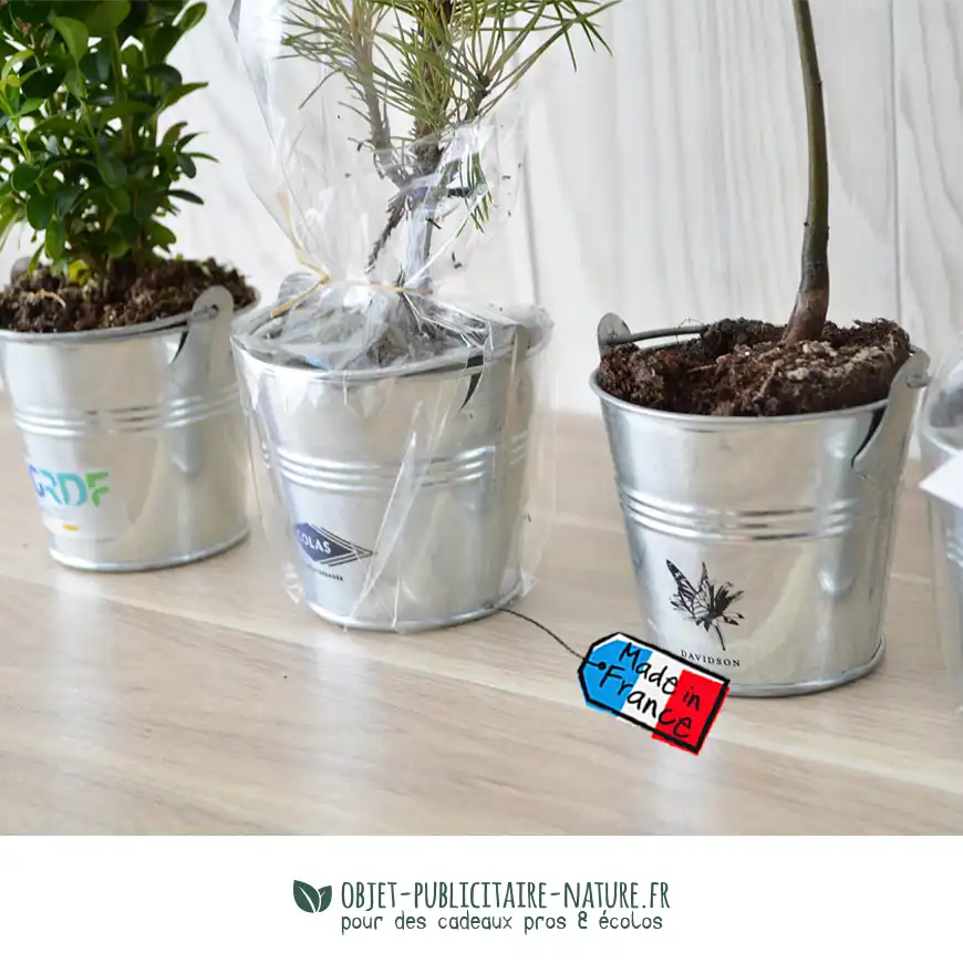 Plant d'arbre publicitaire en pot zinc personnalisable