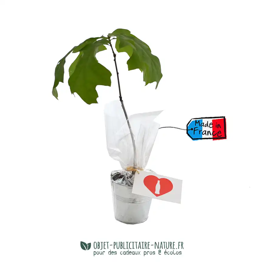 Plant d'arbre publicitaire en pot zinc à personnaliser