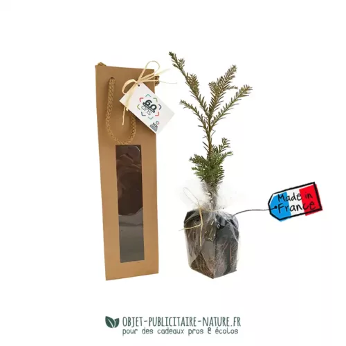 Arbre chêne en sac kraft fenêtre avec étiquette personnalisable