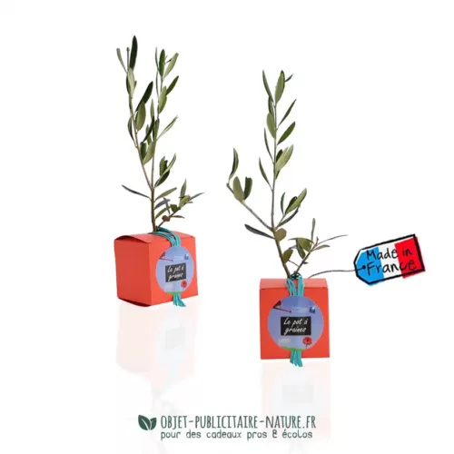 Arbre présenté en cube carton publicitaire à personnaliser