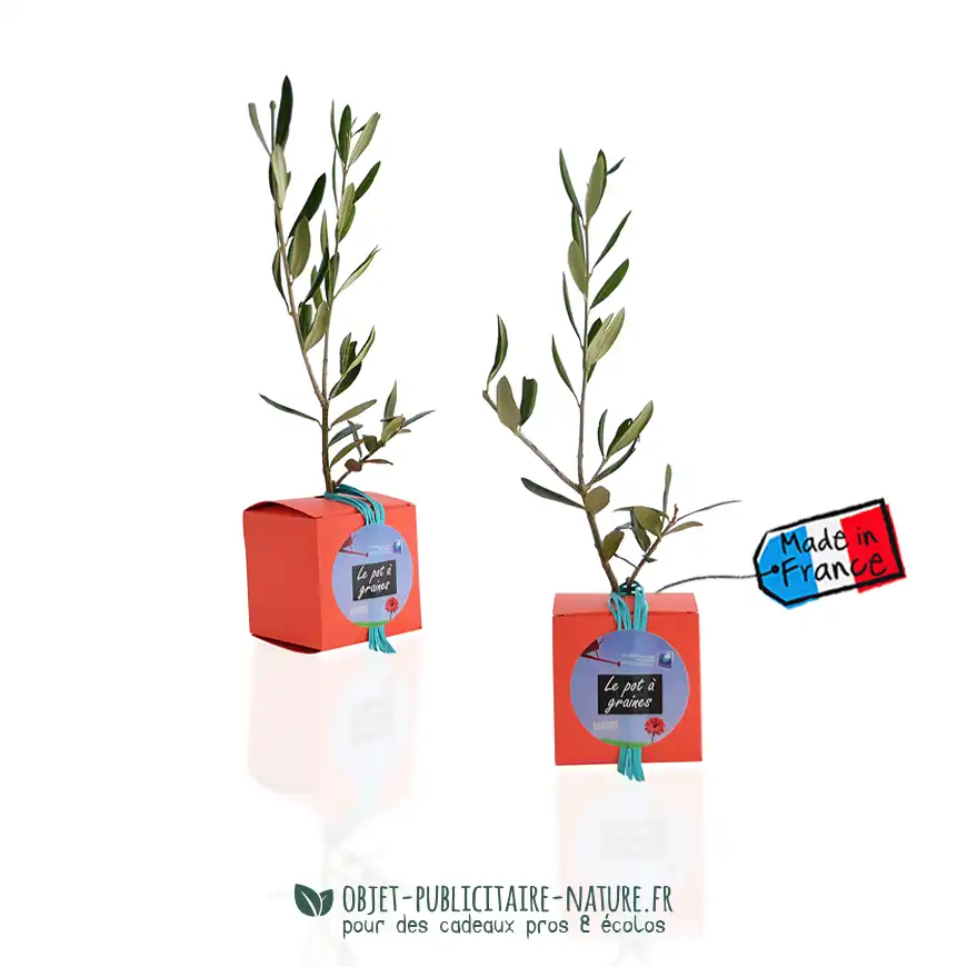 Arbre présenté en cube carton publicitaire à personnaliser