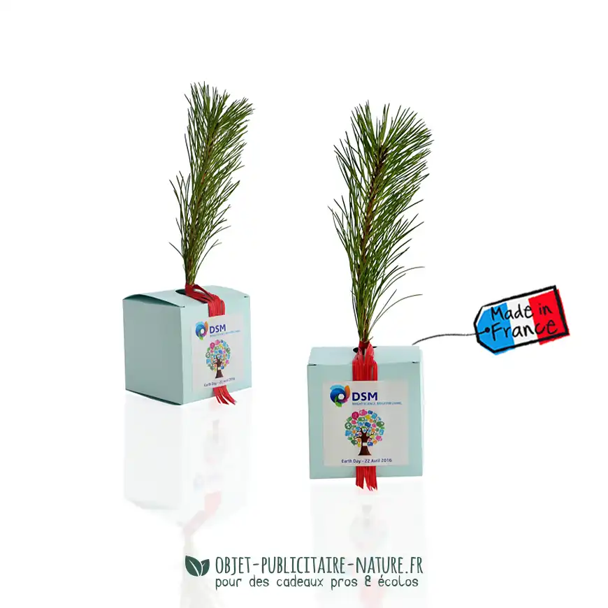 Arbre présenté en cube carton publicitaire à personnaliser