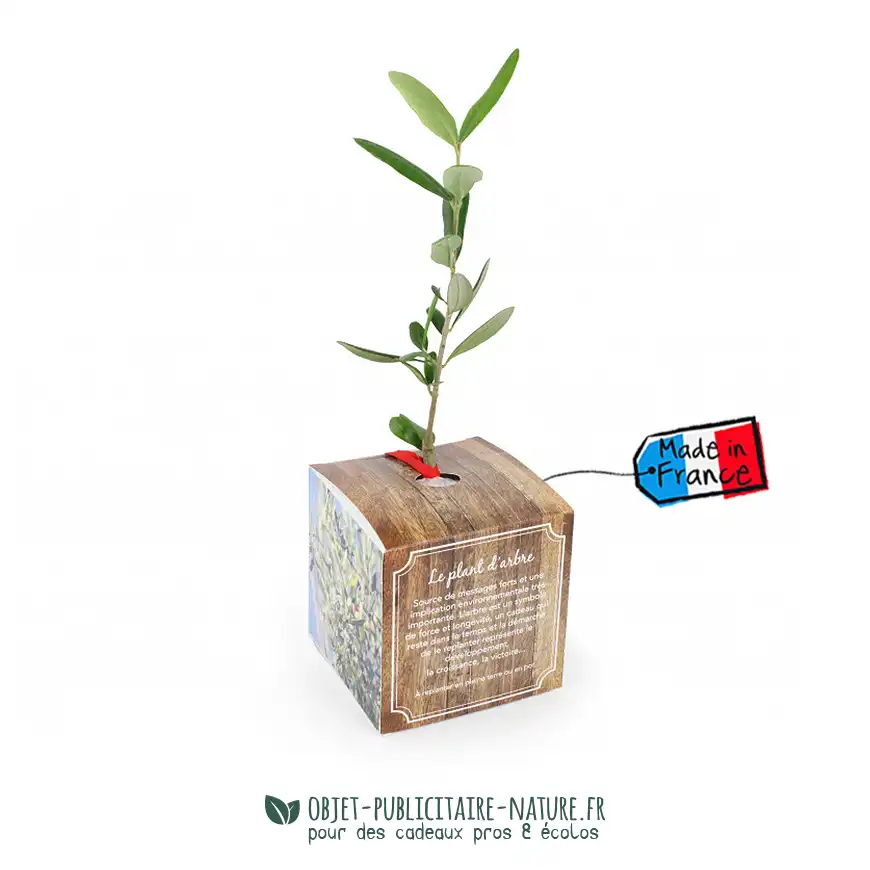 Arbre présenté en cube carton publicitaire personnalisé