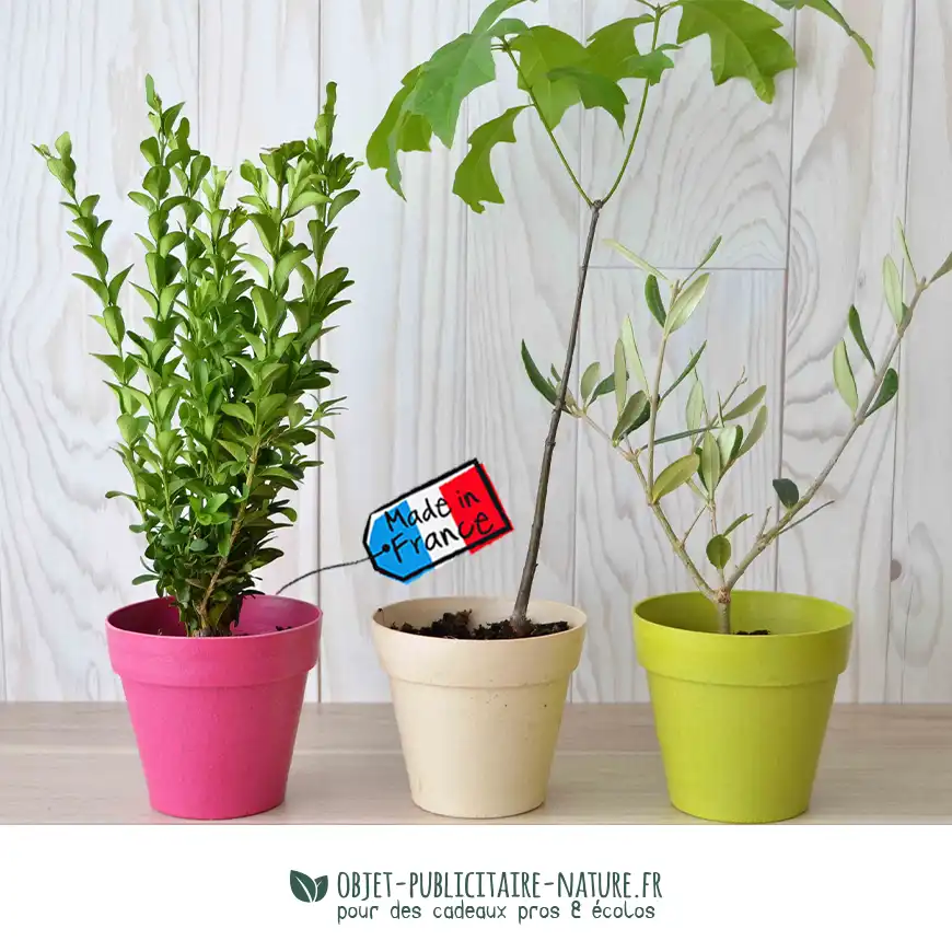 Arbre publicitaire en pot bambou 10cm personnalisé