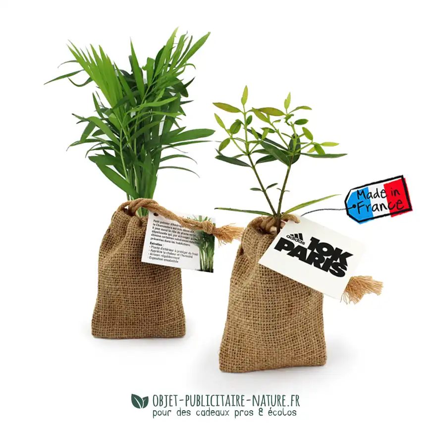 Petit olivier publicitaire en pochon toile de jute avec personnalisation