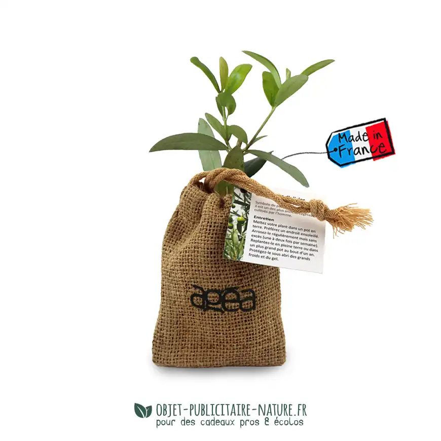 Petit olivier publicitaire en pochon toile de jute à personnaliser