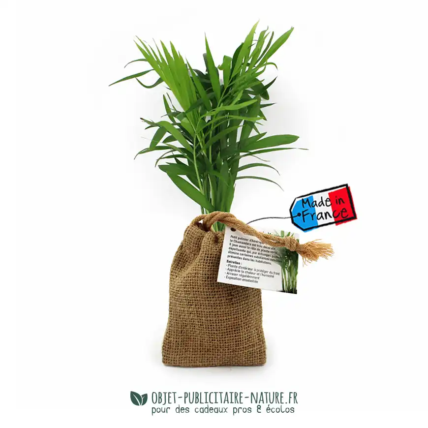 Petit olivier publicitaire en pochon toile de jute à personnaliser