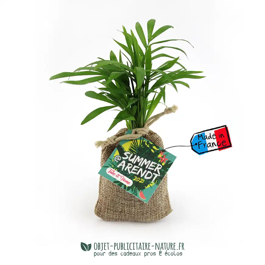 Petit olivier publicitaire en pochon toile de jute personnalisable