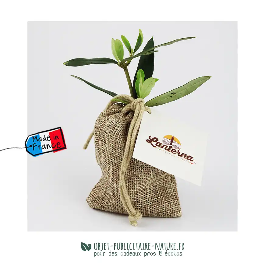 Petit olivier publicitaire en pochon toile de jute personnalisable
