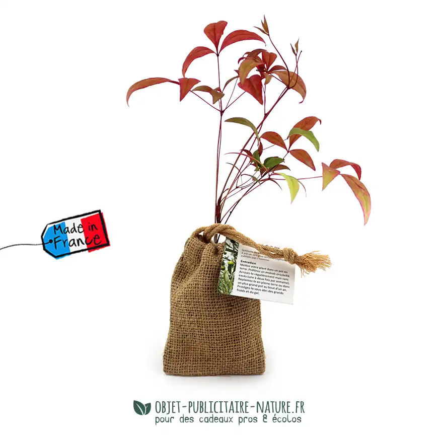 Petit olivier publicitaire en pochon toile de jute personnalisable