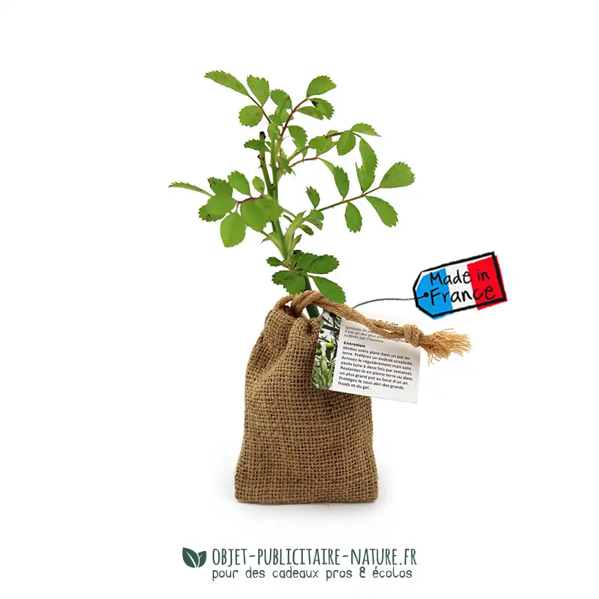 Petit olivier publicitaire en pochon toile de jute personnalisé