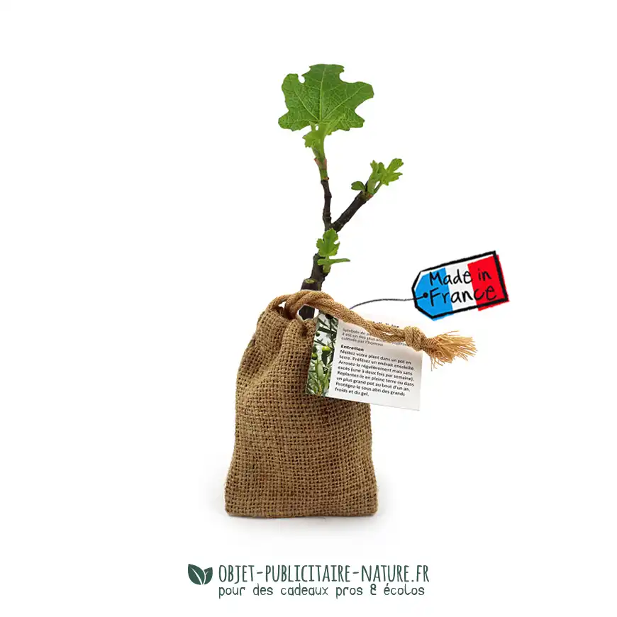 Petit olivier publicitaire en pochon toile de jute personnalisé