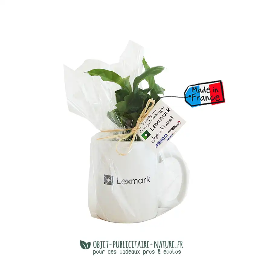 Plant de caféier véritable en mug publicitaire