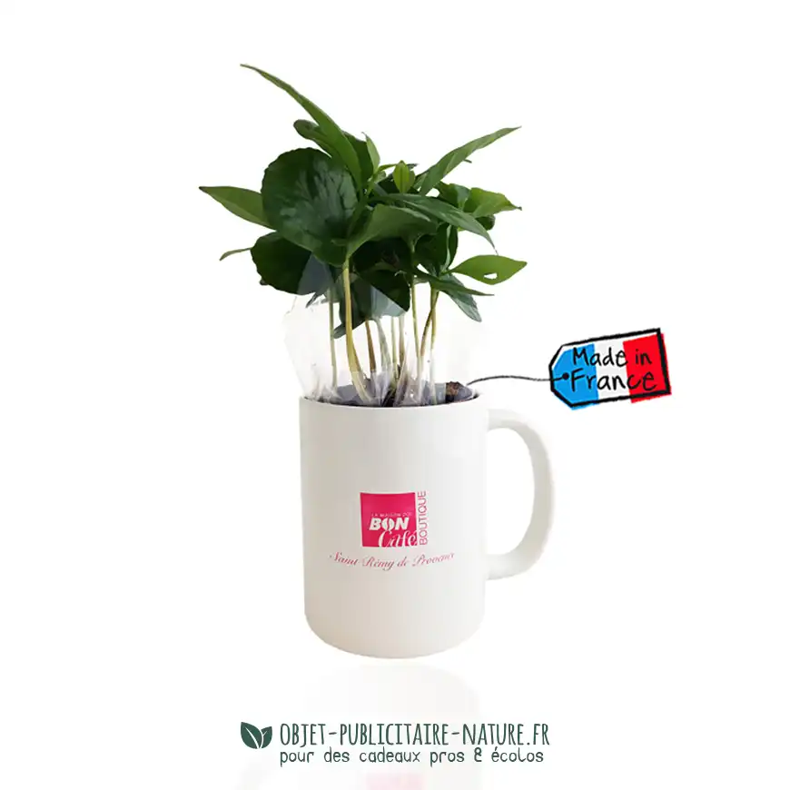 Plant de caféier véritable en mug publicitaire à personnaliser