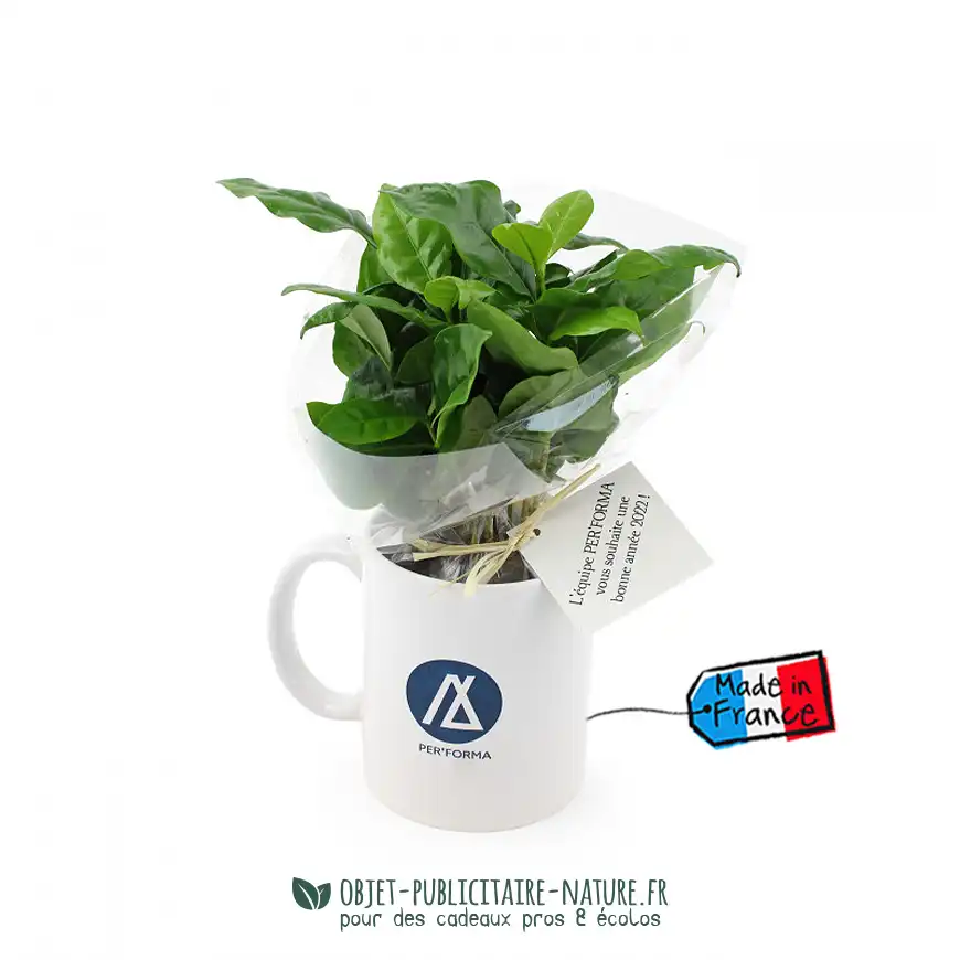 Plant de caféier véritable en mug publicitaire personnalisable