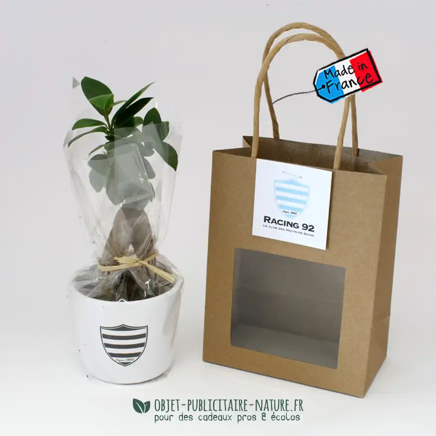 Ficus Ginseng Bonsaï publicitaire en pot céramique rond 7 cm à personnaliser