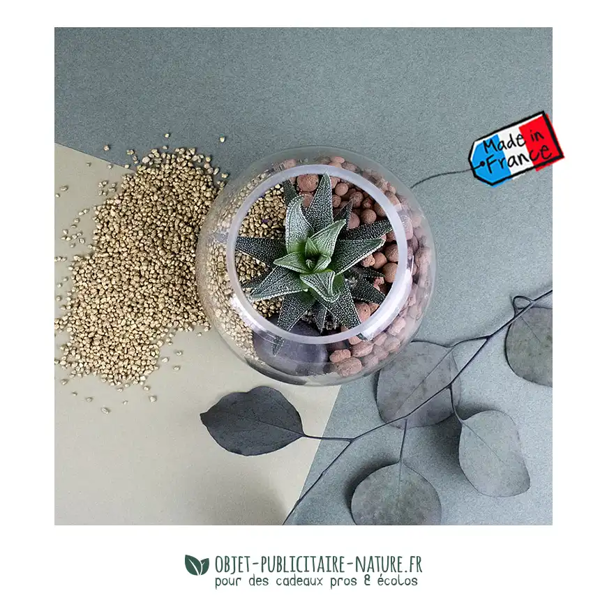 Terrarium mini-jardin publicitaire personnalisé - Petit modèle