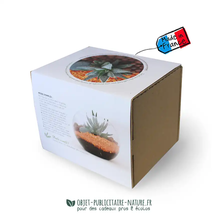 Terrarium mini-jardin publicitaire à personnaliser - Petit modèle