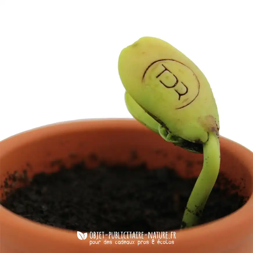 Sachet de graine d'haricot à personnaliser par gravure