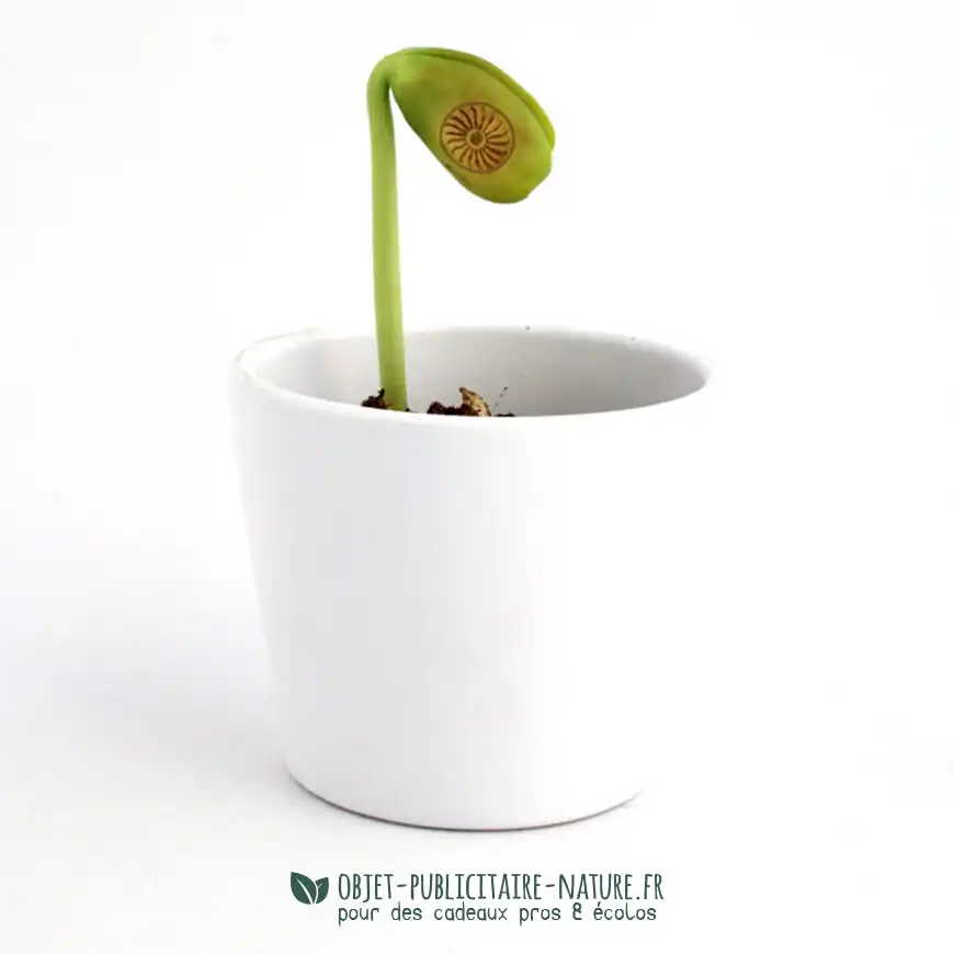 Sachet de graine d'haricot personnalisable par gravure