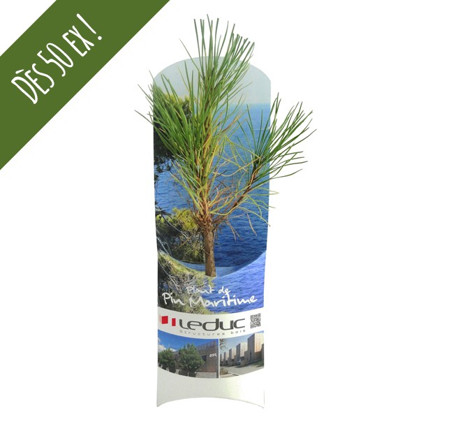 Arbre en étui standard personnalisation par sticker