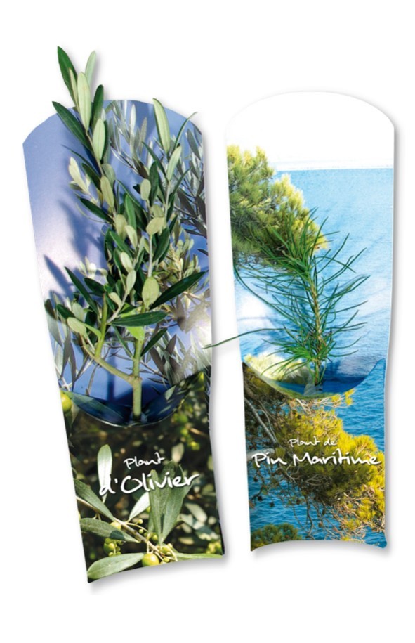 Arbre en étui standard personnalisation par sticker