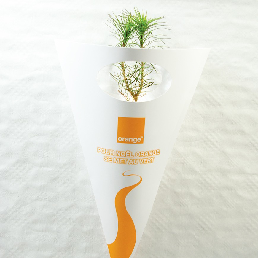 Plant d'arbre à offrir en cornet blanc personnalisable