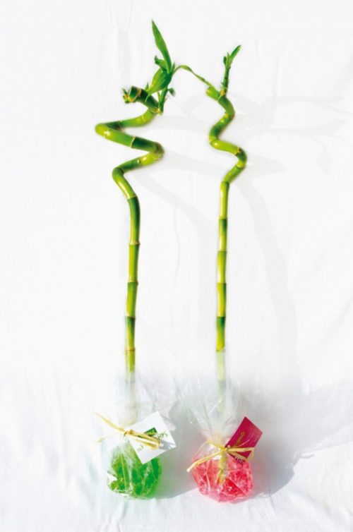 Canne chinoise torsadée - Bambou publicitaire Zen à offrir