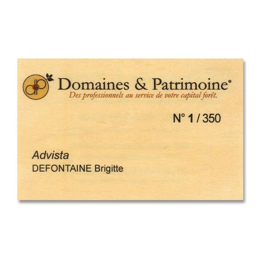 Cartes de visite en bois d'érable avec impression de numéros uniques