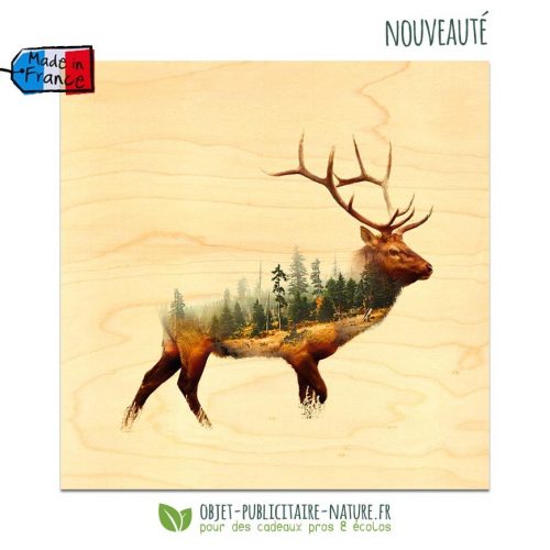 Des cartes en bois grand format 300x300mm fabriquées et imprimées en France !