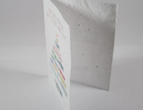 Avec les cartes de vœux à graines célébrez Noël sous le signe de la nature