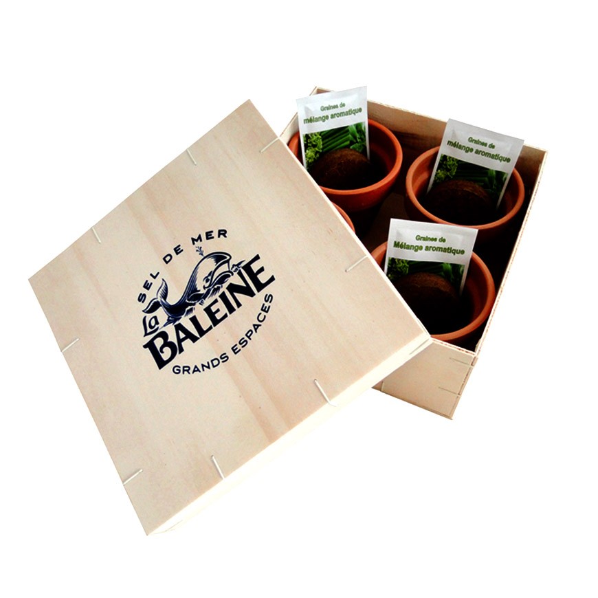 Coffret cadeau publicitaire 4 aromatiques en pots terre cuite