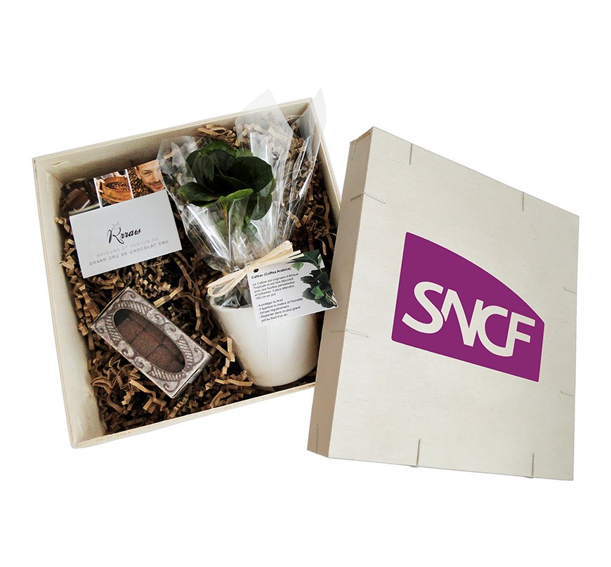 Coffret cadeau publicitaire plant de caféier et boîte de chocolat