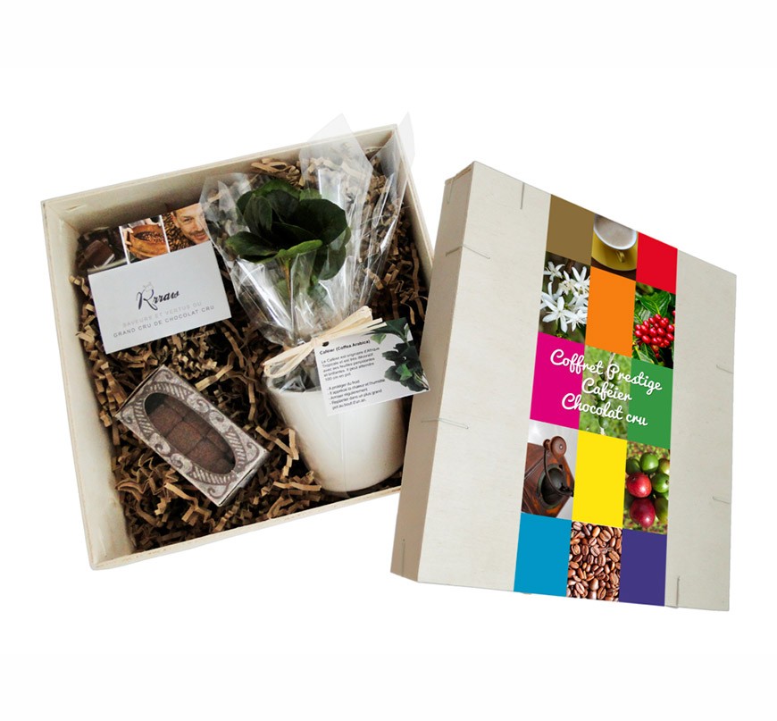 Coffret cadeau publicitaire plant de caféier et boîte de chocolat