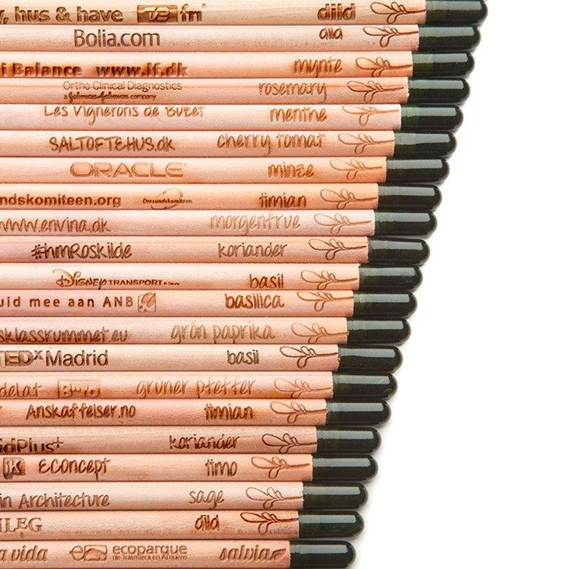 Crayons de couleur à graines à planter personnalisés