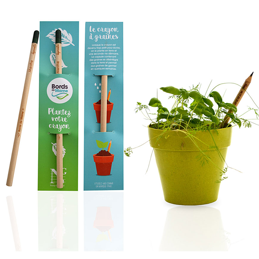 Crayon sprout capsule graines crayon planter