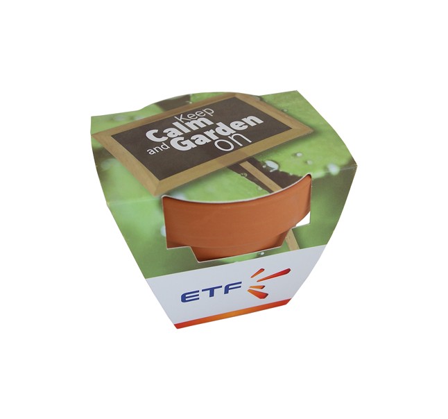 Kit de plantation avec graines en pot terre cuite moyen format 8 cm