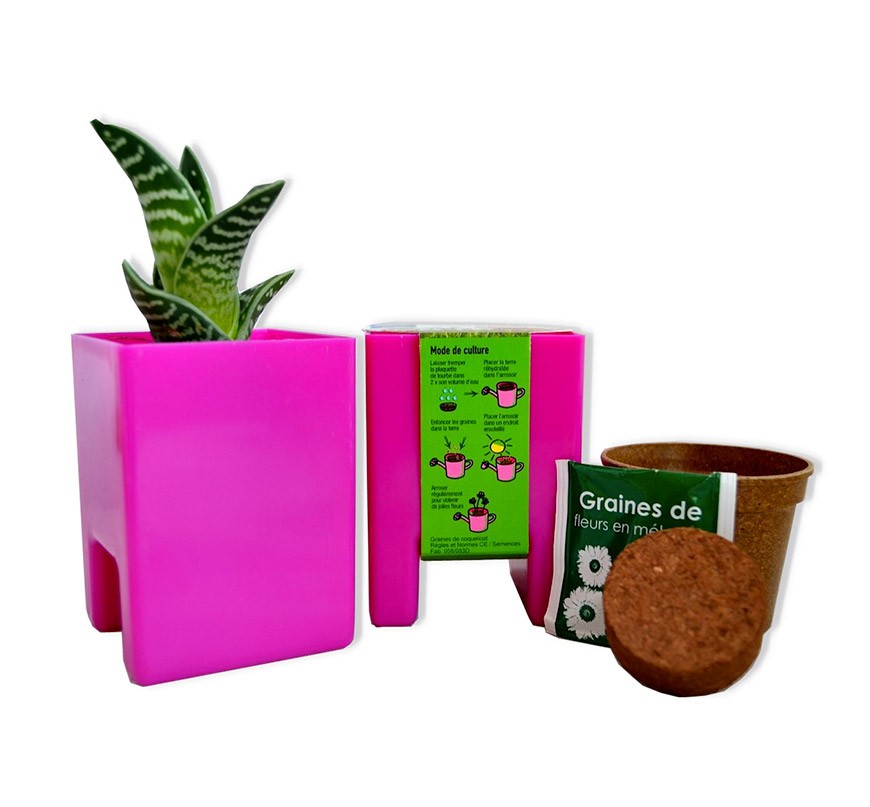Kit de plantation publicitaire écologique biodégradable en pot ordinateur