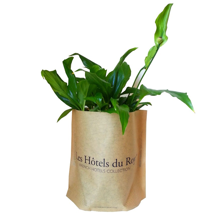 Sac de plantation autoportant kraft