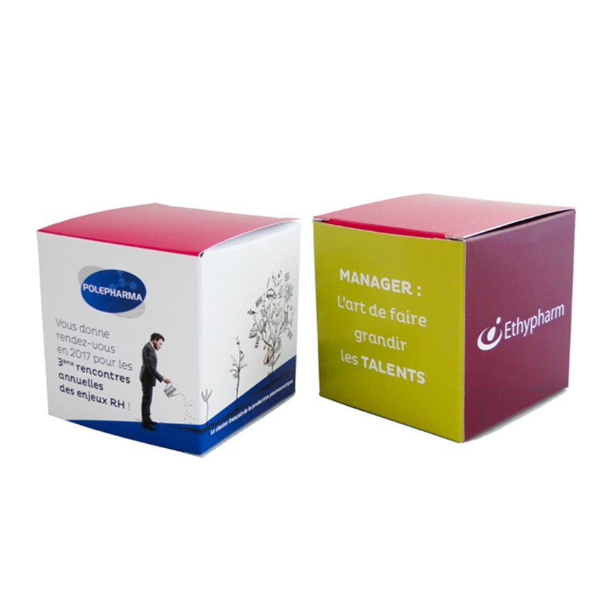 Petit cube de plantation boîte carton personnalisable pot terre cuite